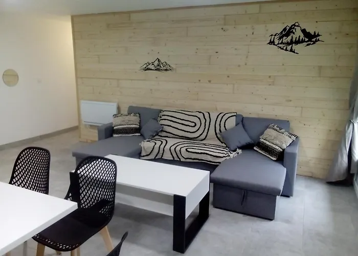 Appt Tout Confort A Laveissiere 103
